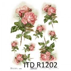 R1202 small N